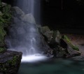 dominica2005-emeraldpool-03 