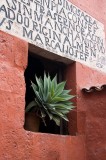 _mg_8511 Plant growing towards the light in Monasterio de Santa Catalina.