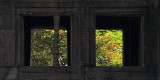 crw_6263 Trees through a building in Angkor Wat.