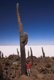 crw_3405-ray-4053 Tallest cactus on the island, 12.3 m / 40.35 ft. Taken by Ray Woo.
