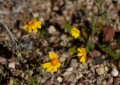 deathvalley07 