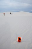 whitesands