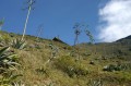 img_3213 
