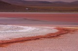 crw_3192 The red waters of Laguna Colorada mixing with the white borax shore.
