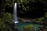 33-CRW_8793 Emerald Pool, Dominica