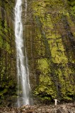 51-_MG_4993 Waimoku Falls, Maui, USA