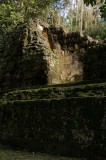 _mg_0631 Lichen covered ruin in the El Mundo Perdido part of Tikal.