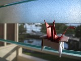 img_3232 Serene's economist paper crane in its nest on the window of our Hilo hotel.