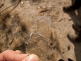 img_1811 A thin piece of gypsum crystal (selenite)