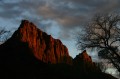 zion00-n1
