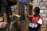 crw_2889 Serene feeding a llama in Toconao.