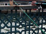 img_0657 Fishing on the Galata Bridge